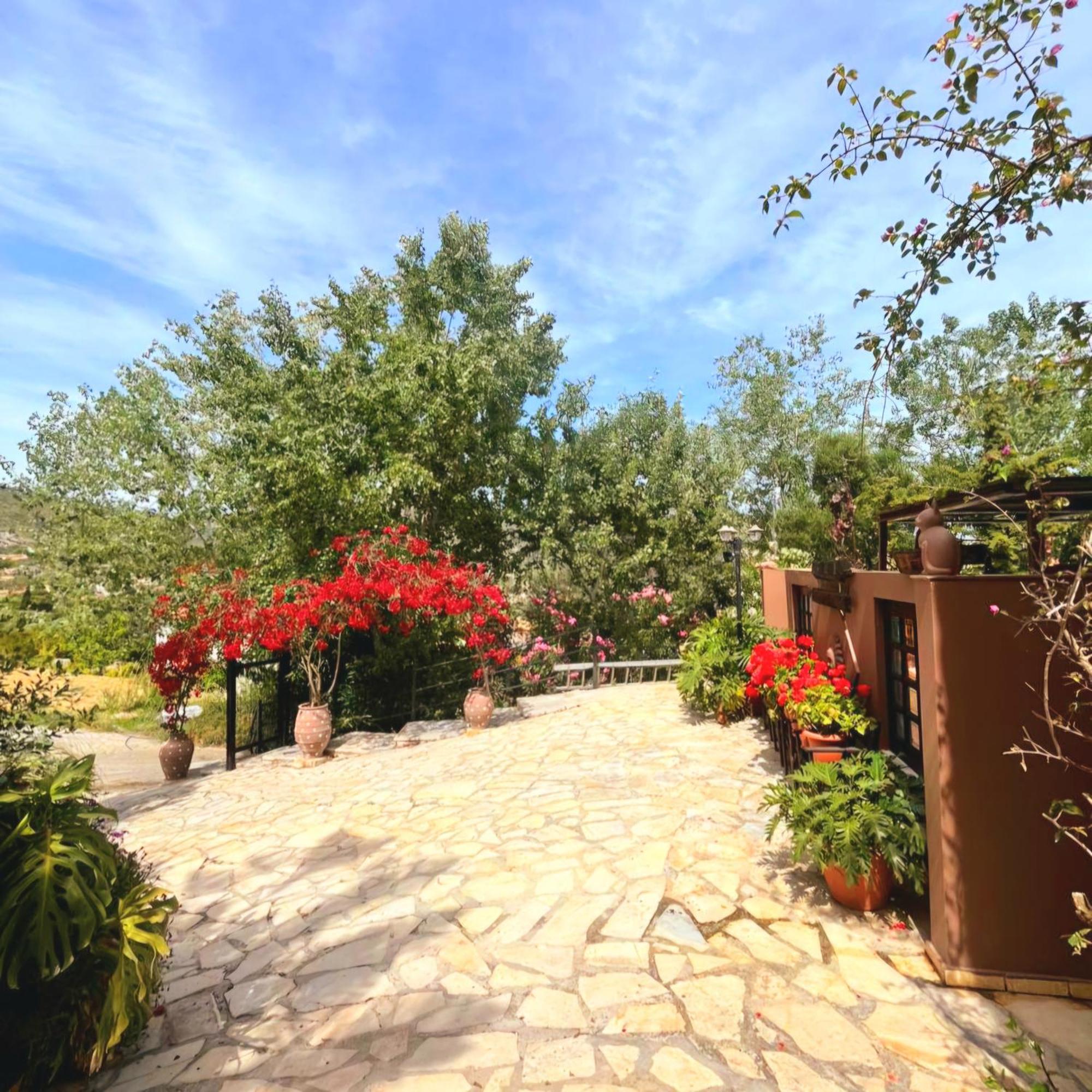 Okeanis Apartments & Suites Adults Only Katelios Extérieur photo