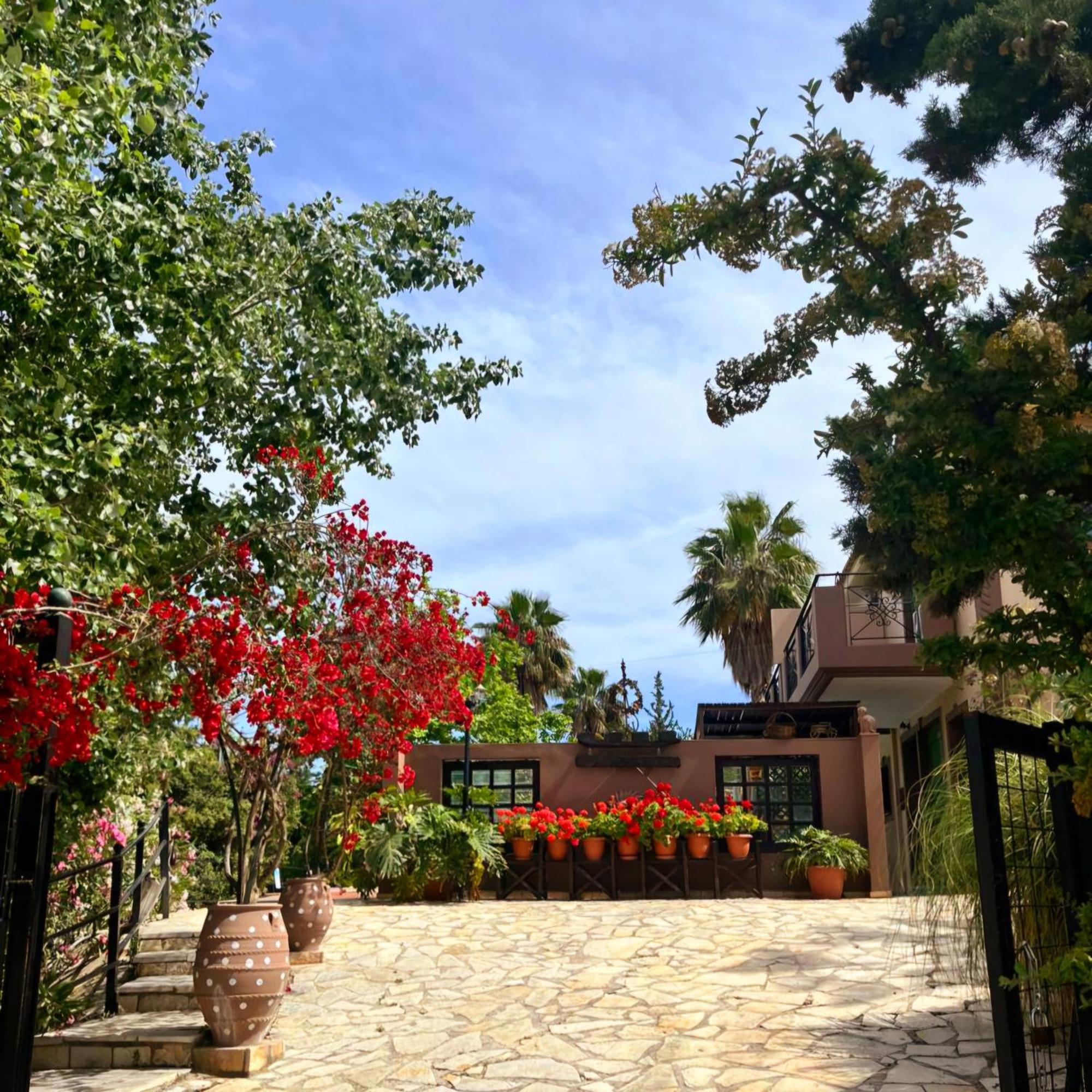 Okeanis Apartments & Suites Adults Only Katelios Extérieur photo